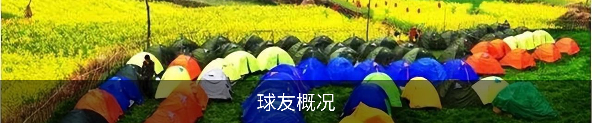 球友概况